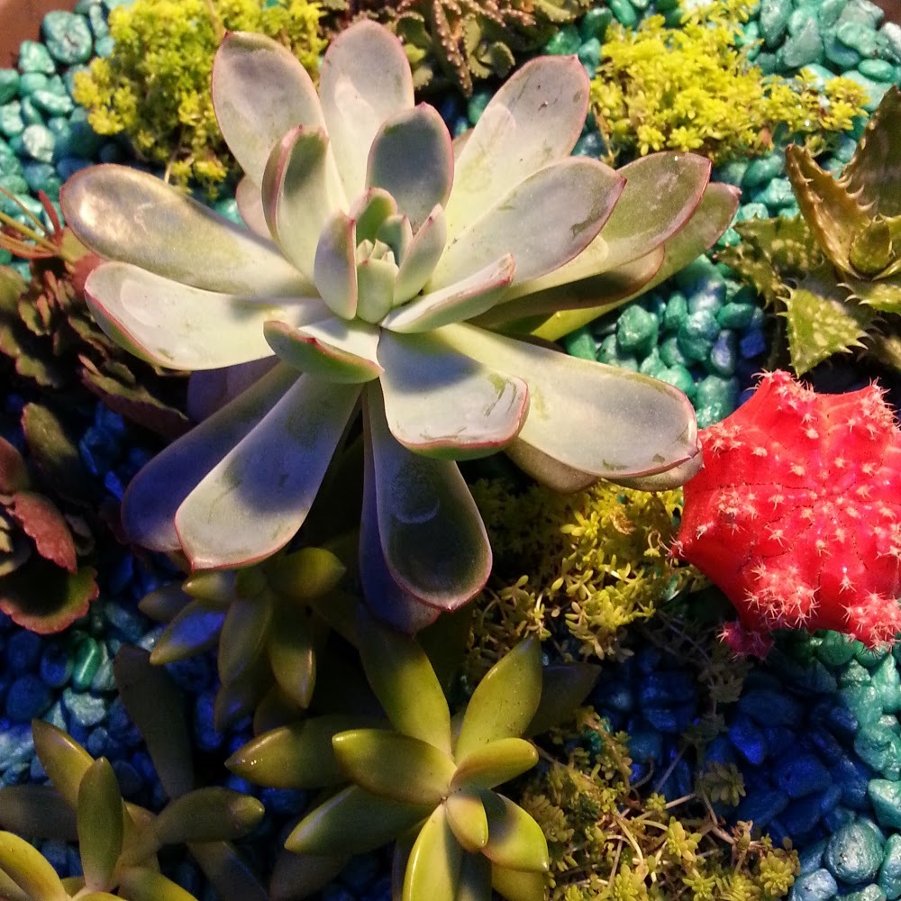 Meet your Posher, Fetal